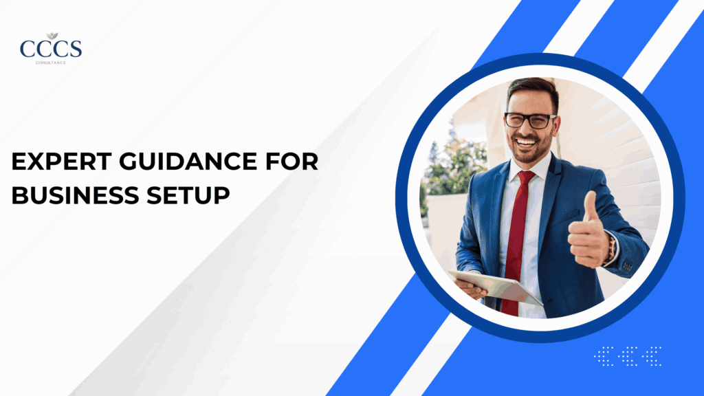 Expert Guidance for Business Setup