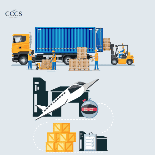 Export Auxiliary Services