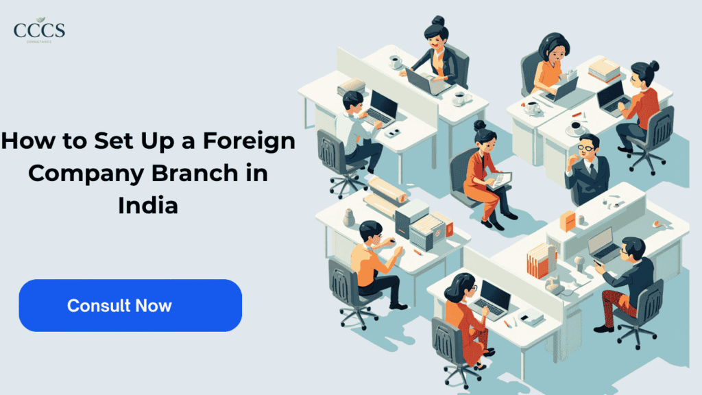 How to Set Up a Foreign Company Branch in India