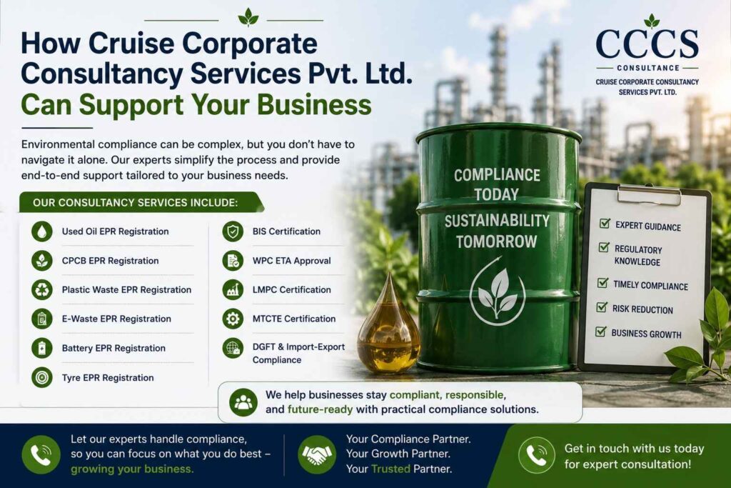 How Cruise Corporate Consultancy Services Pvt. Ltd. Can Support Your Business