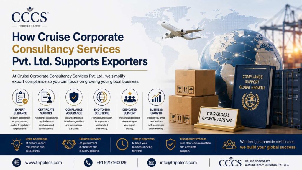 How Cruise Corporate Consultancy Services Pvt. Ltd. Supports Exporters